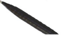 Arco e frecce 100 cm bambini incluse 3 frecce indiane